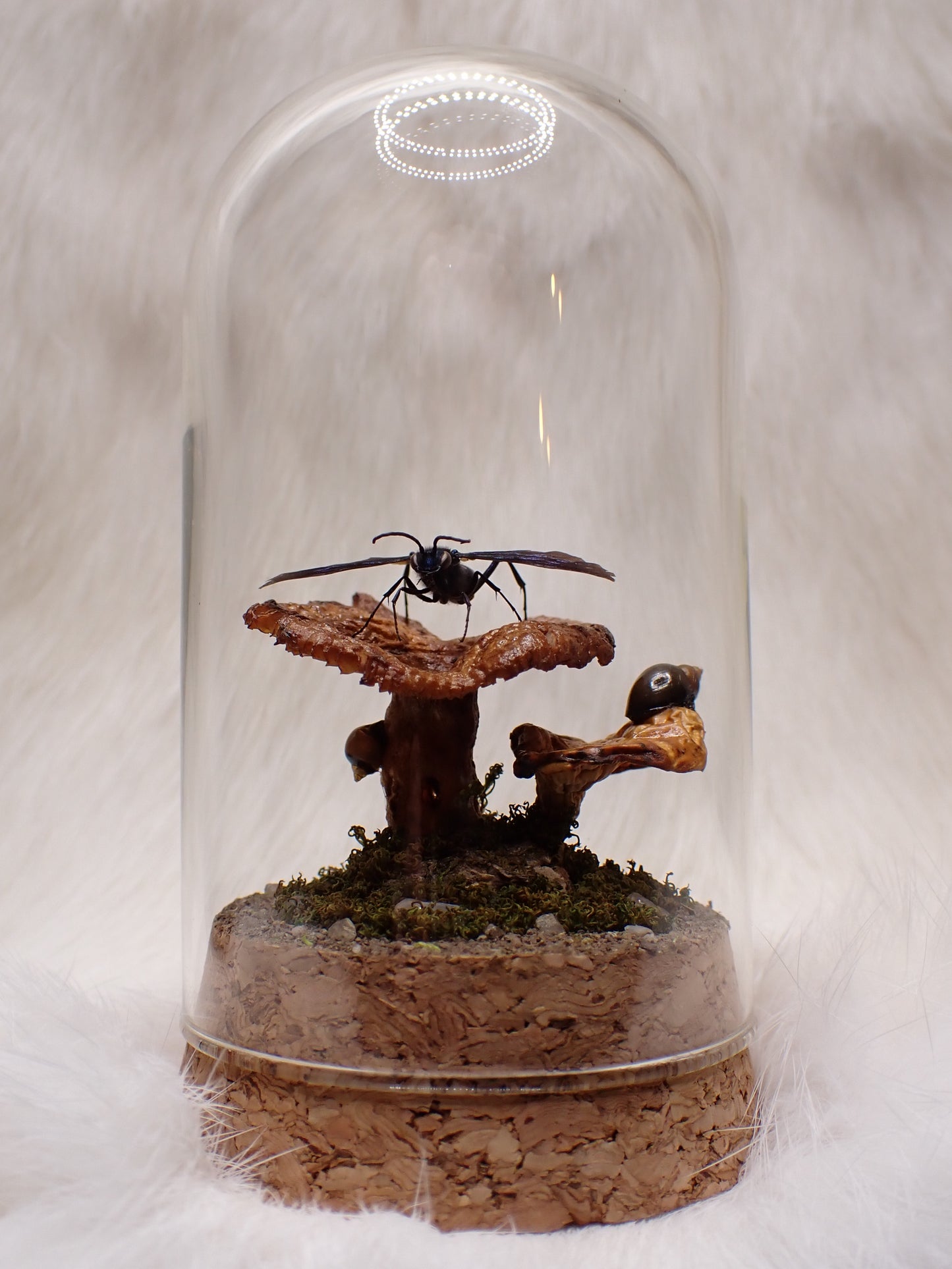 Blue Mud Dauber Wasp Dome