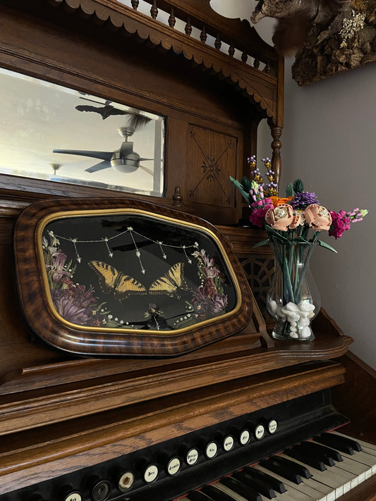 𝘛𝘩𝘰𝘶𝘨𝘩𝘵𝘴 𝘰𝘧 𝘜𝘴