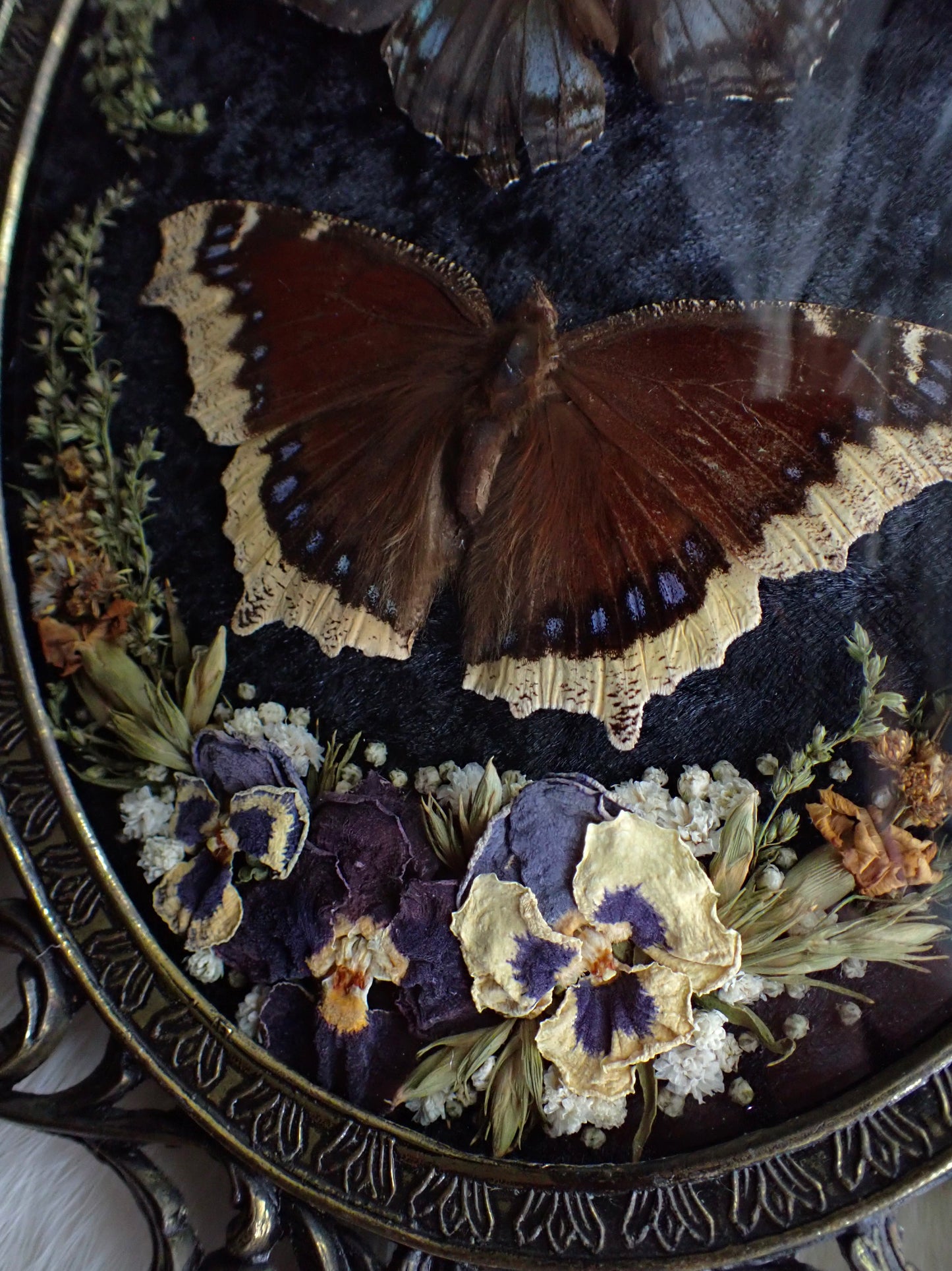 𝘔𝘪𝘥𝘯𝘪𝘨𝘩𝘵 𝘍𝘪𝘦𝘭𝘥𝘴