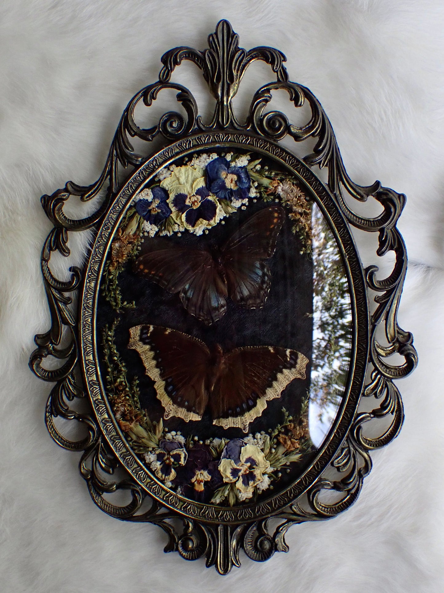 𝘔𝘪𝘥𝘯𝘪𝘨𝘩𝘵 𝘍𝘪𝘦𝘭𝘥𝘴