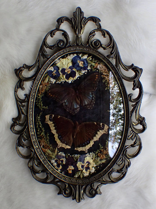 𝘔𝘪𝘥𝘯𝘪𝘨𝘩𝘵 𝘍𝘪𝘦𝘭𝘥𝘴