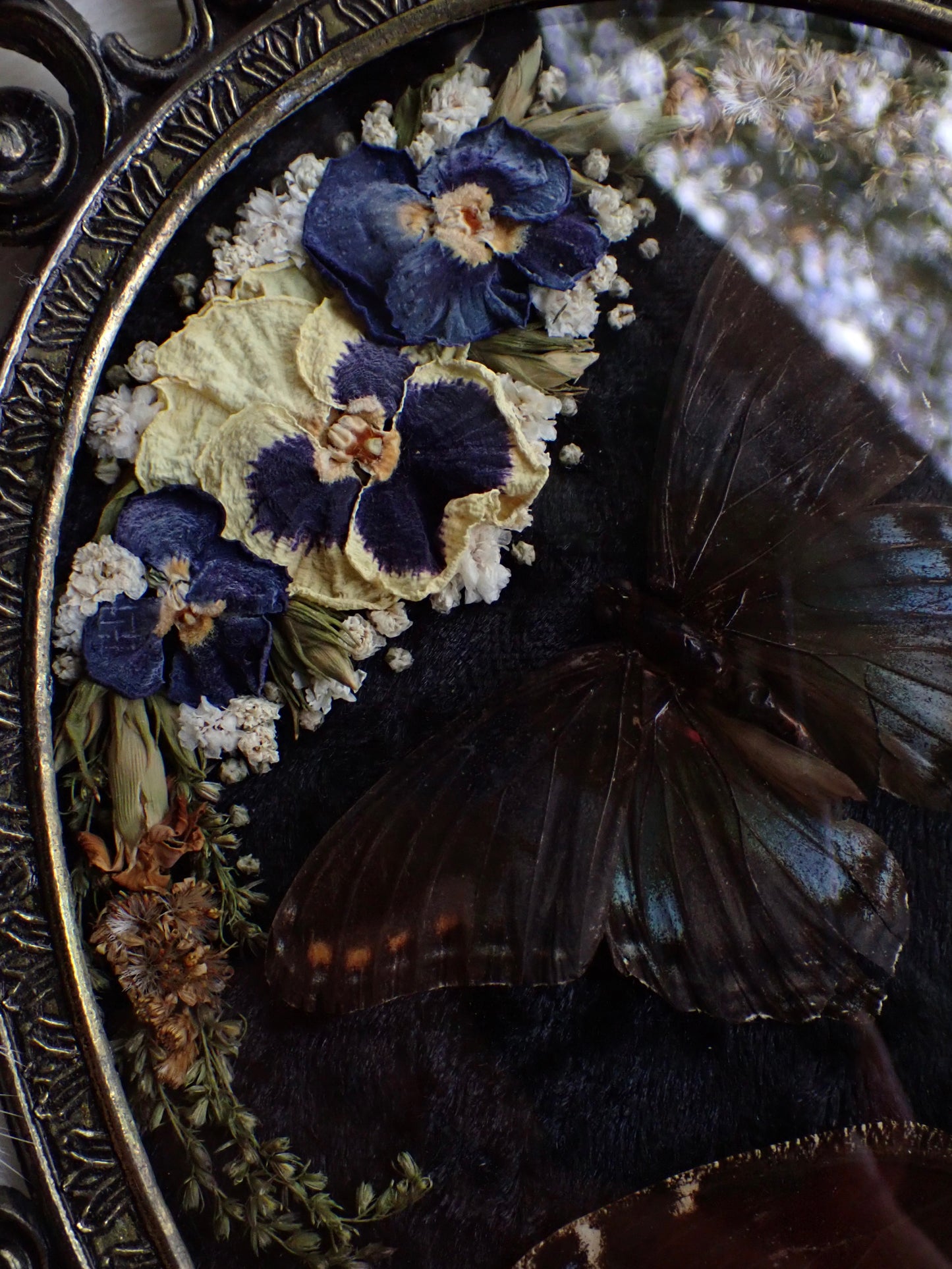 𝘔𝘪𝘥𝘯𝘪𝘨𝘩𝘵 𝘍𝘪𝘦𝘭𝘥𝘴