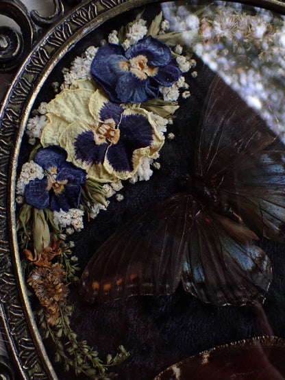 𝘔𝘪𝘥𝘯𝘪𝘨𝘩𝘵 𝘍𝘪𝘦𝘭𝘥𝘴