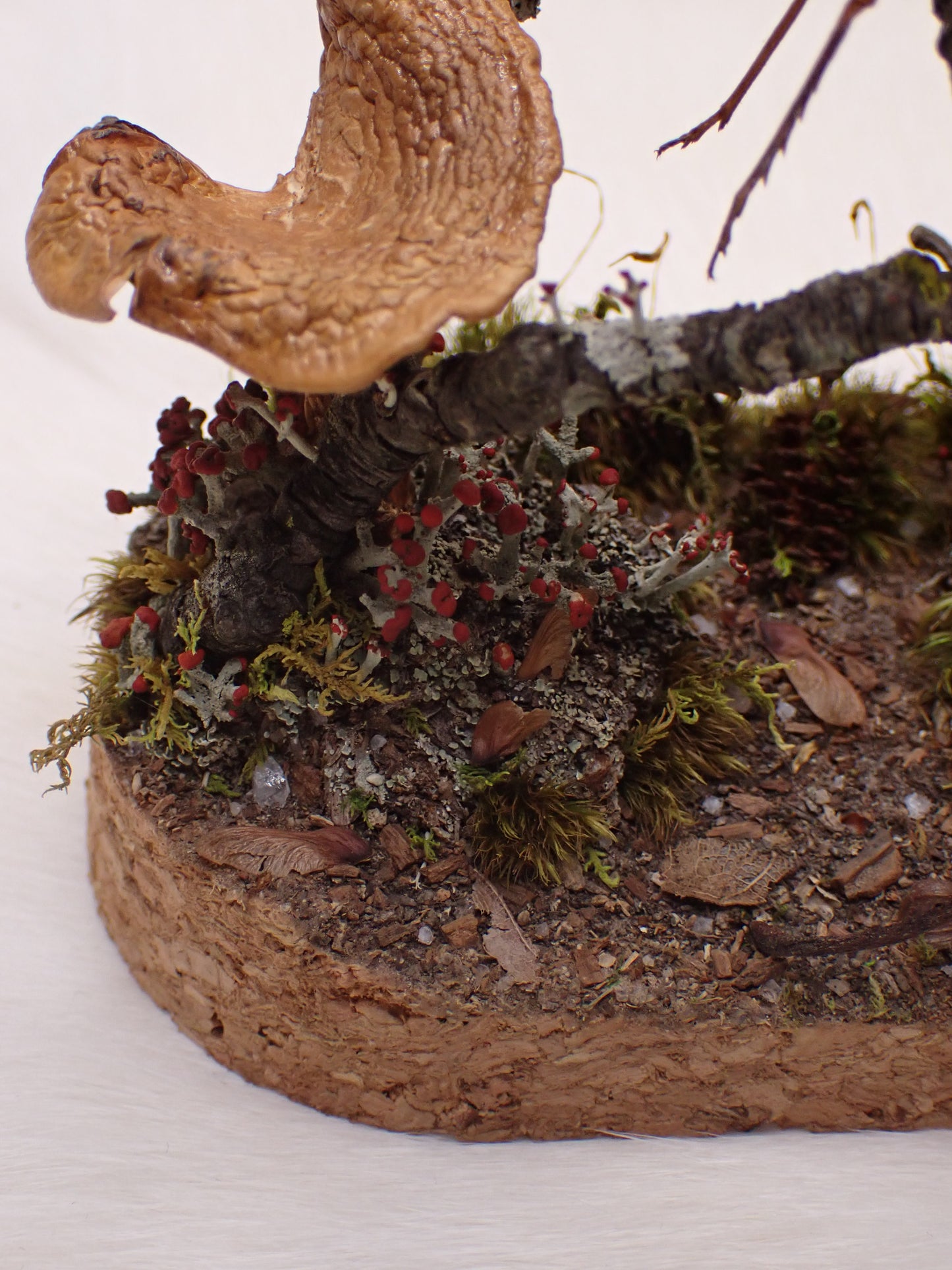 Lanternfly Oval Dome