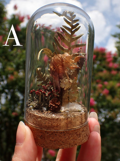 Cicada Shell Dome