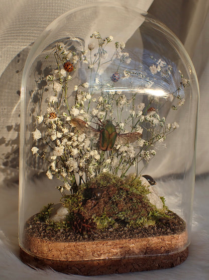 June Beetle Oval Dome