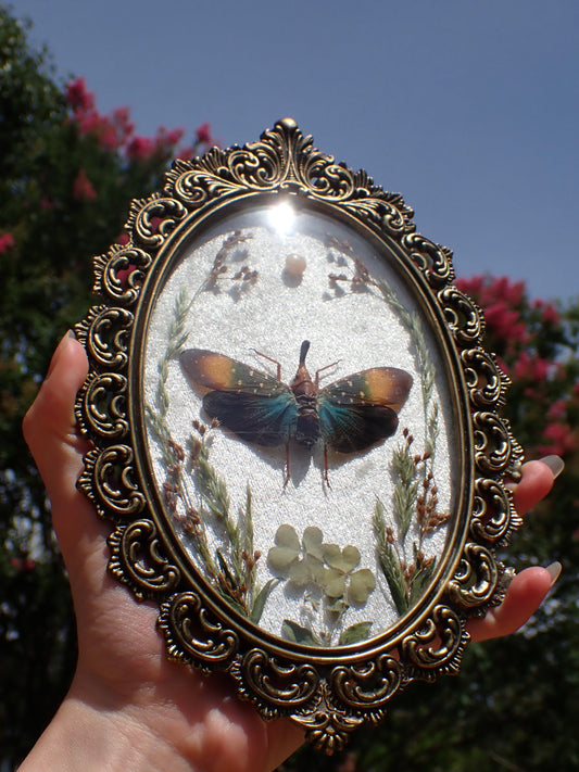 Lanternfly Frame