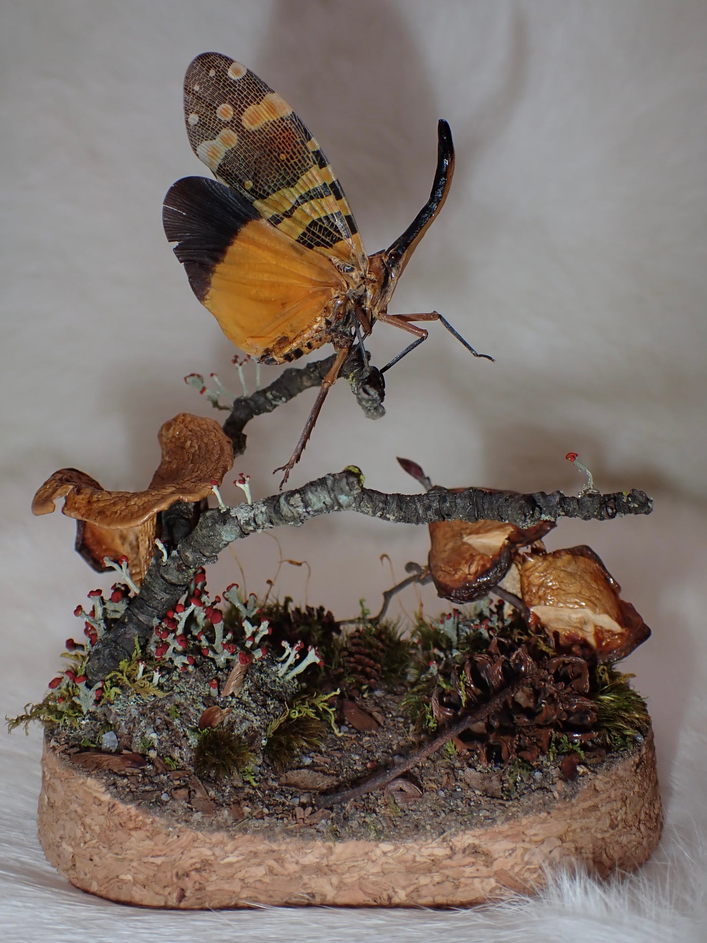 Lanternfly Oval Dome
