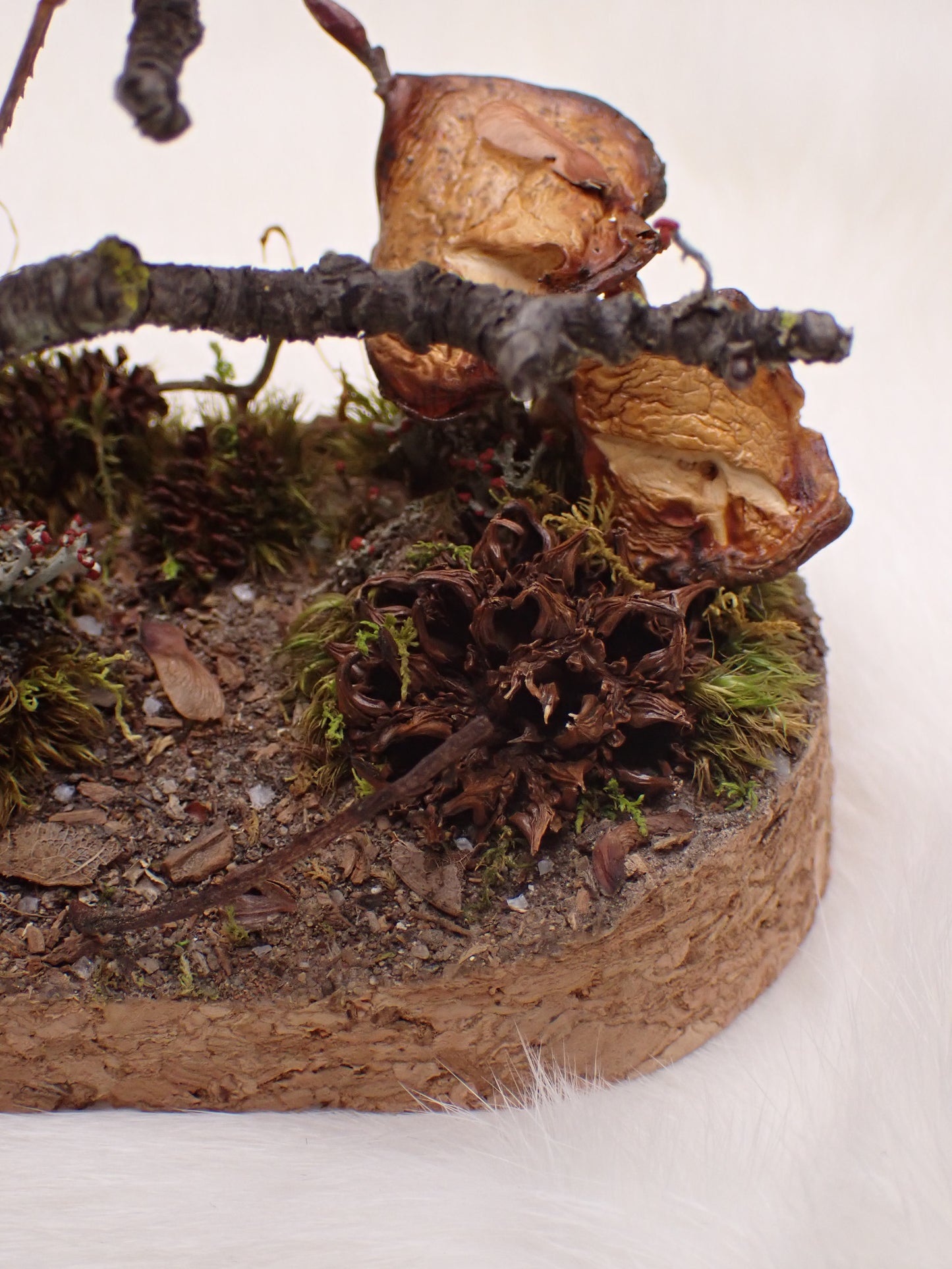 Lanternfly Oval Dome