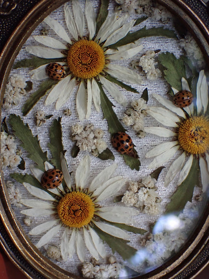 𝘚𝘱𝘳𝘪𝘯𝘨 𝘋𝘢𝘺𝘥𝘳𝘦𝘢𝘮