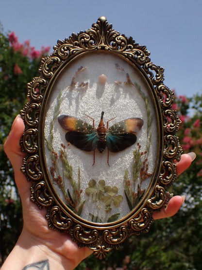 Lanternfly Frame