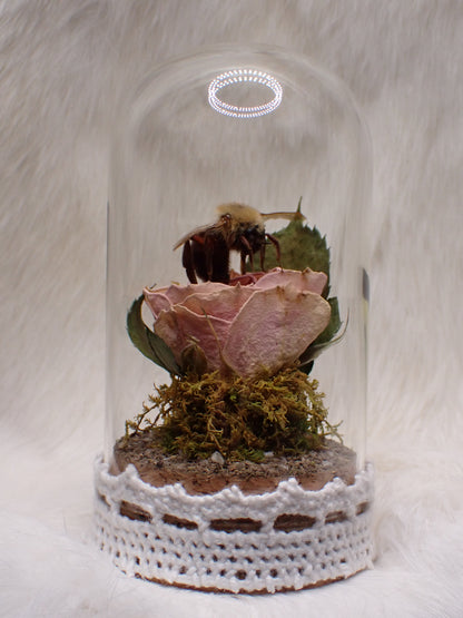 Bumble Bee Dome