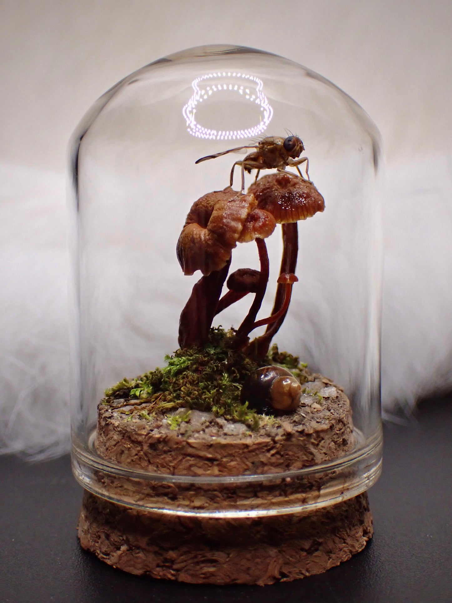 Micro Mushroom Fly Dome