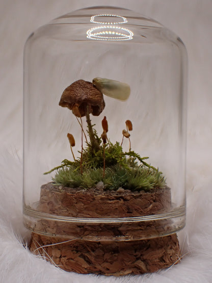 Micro Planthopper Dome
