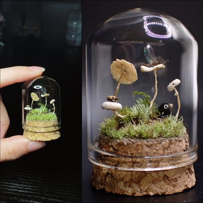 Micro Mushroom Dome